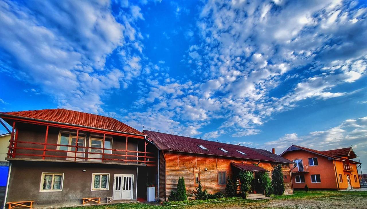 Pensiunea Sanziana Hotel Oradea Luaran gambar