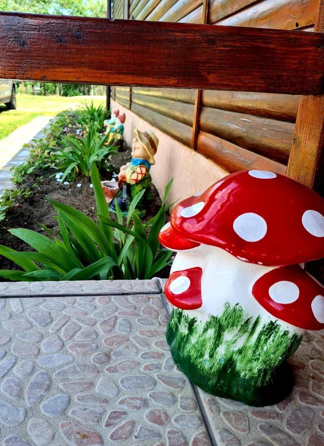 Pensiunea Sanziana Hotel Oradea Luaran gambar